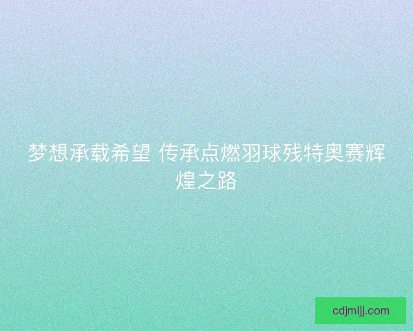 梦想承载希望 传承点燃羽球残特奥赛辉煌之路